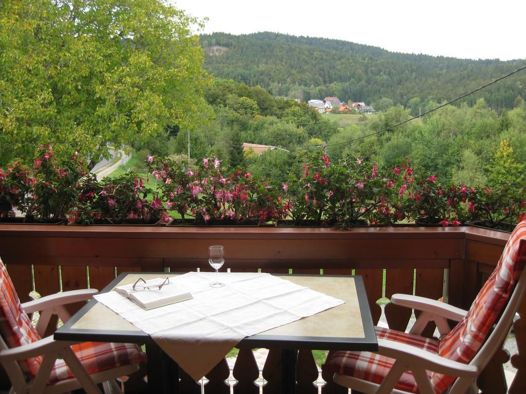Апартаменты Haus Am Kreuzbuehl Dachsberg im Schwarzwald Экстерьер фото