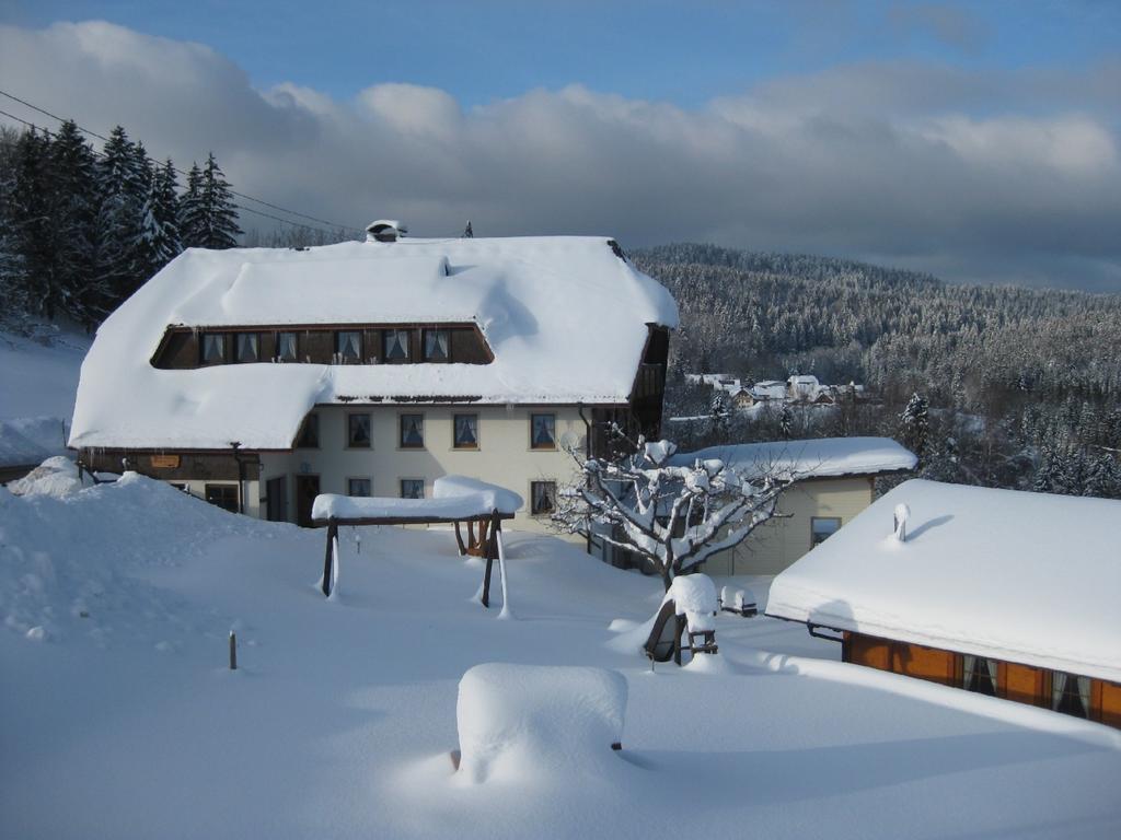 Апартаменты Haus Am Kreuzbuehl Dachsberg im Schwarzwald Экстерьер фото