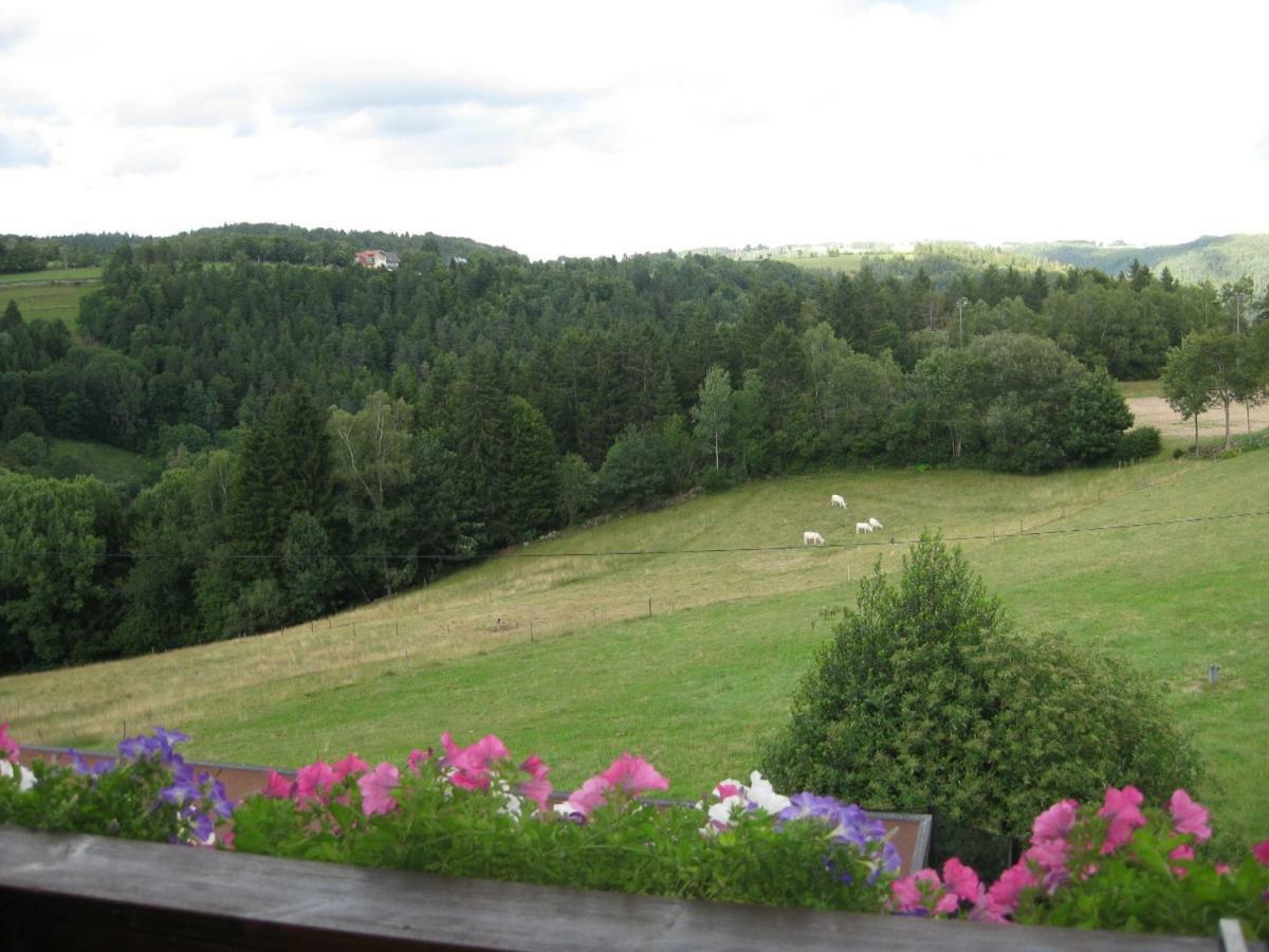 Апартаменты Haus Am Kreuzbuehl Dachsberg im Schwarzwald Экстерьер фото