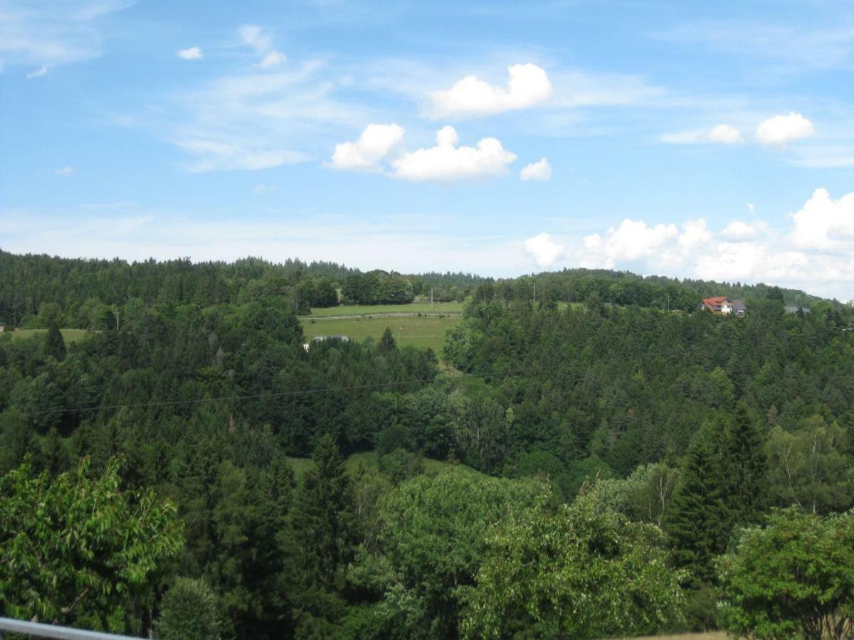 Апартаменты Haus Am Kreuzbuehl Dachsberg im Schwarzwald Экстерьер фото